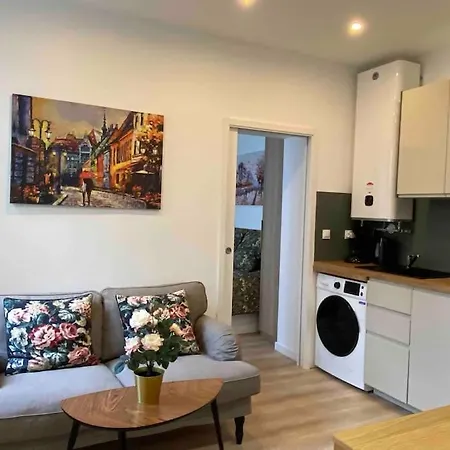 23m2 Climatise Avec Parking Prive Secteur Roosevelt - Arena * Reims