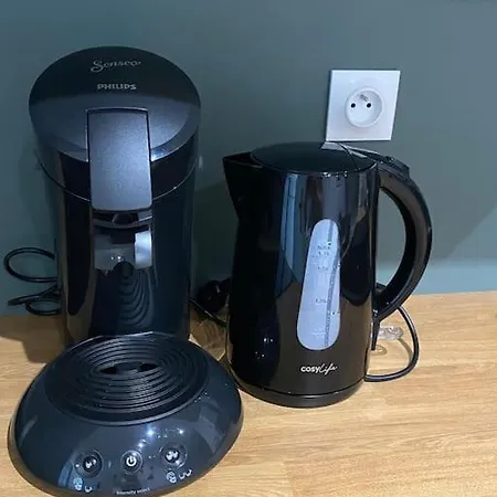 Апартаменты 23m2 Climatise Avec Parking Prive Secteur Roosevelt - Arena *